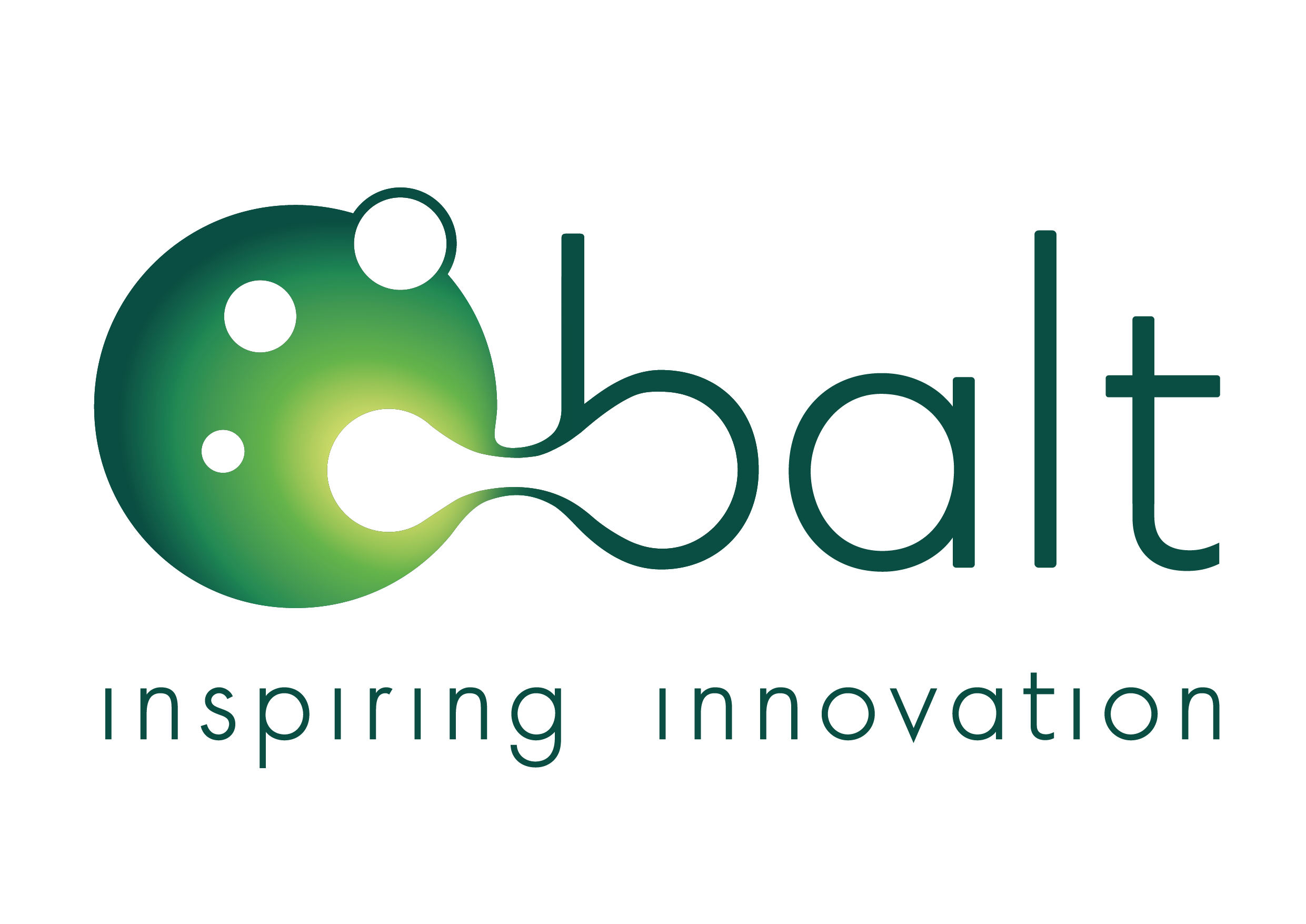 BALT Group  Logo