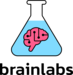 The Brainlabs Academy  Logo