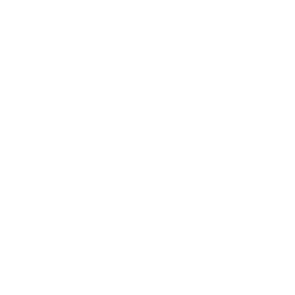 Alpine Eagle GmbH Logo