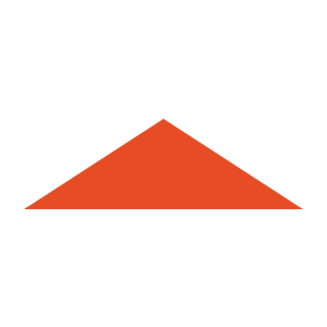 Delphi Consulting Logo