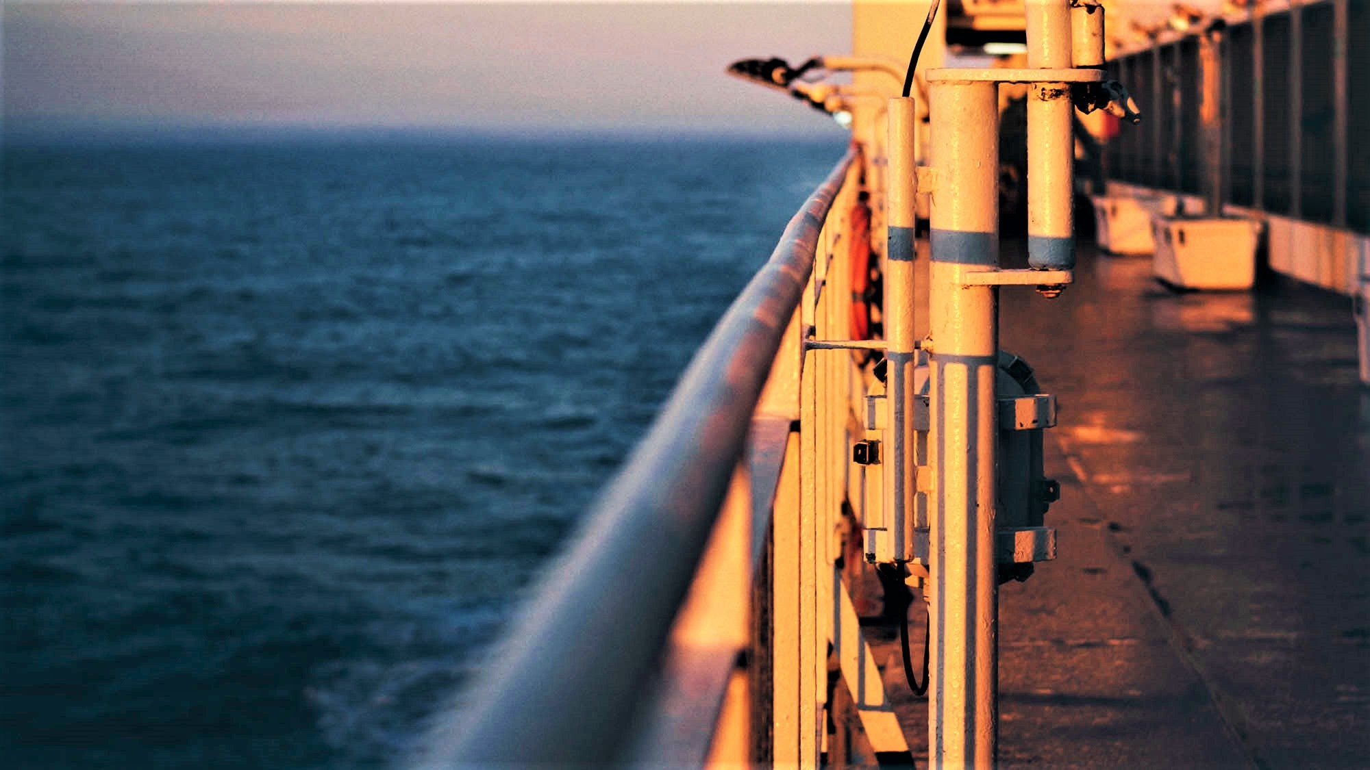 Jobs At Flagship Founders Ventures Jobs At Flagship Founders Ventures